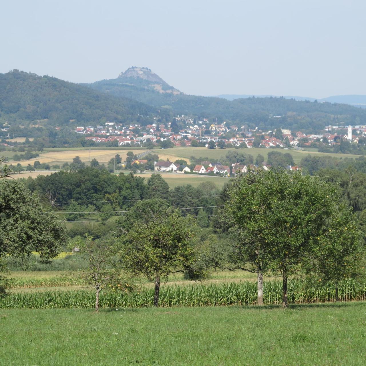 Bodensee Hegau Gottmadingen Dış mekan fotoğraf